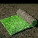 WhatsApp Image 2025-09-13 at 21.51.50_984bfe3d