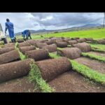 WhatsApp Image 2025-09-13 at 21.51.54_2bf48e5c