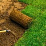 WhatsApp Image 2025-09-13 at 21.52.00_73f70093